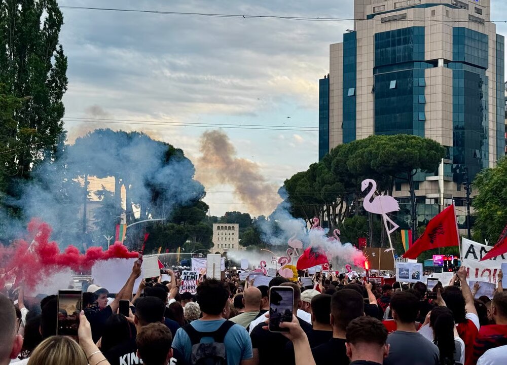 Flamingo Revolution